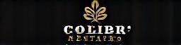 Logo Colibrì Restauro